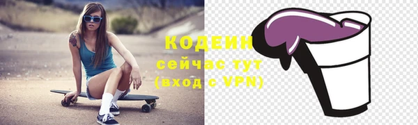 молекула духа Няндома