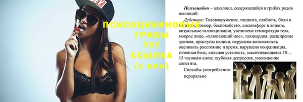 ГАЛЛЮЦИНОГЕННЫЕ ГРИБЫ Остров