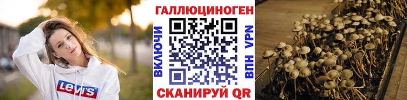 дарк нет состав  хочу   Солигалич  Псилоцибиновые грибы Psilocybine cubensis 